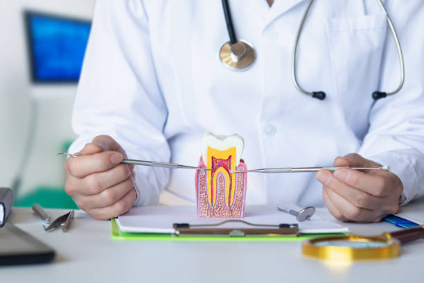 Best Chipped Tooth Repair Near Me  in Shelton, WA